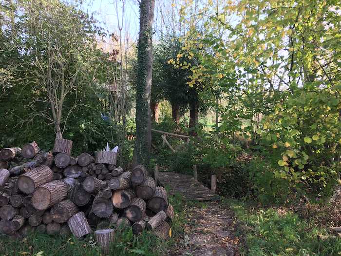 Vergaderen in de natuur: zicht op het brugje over de beek