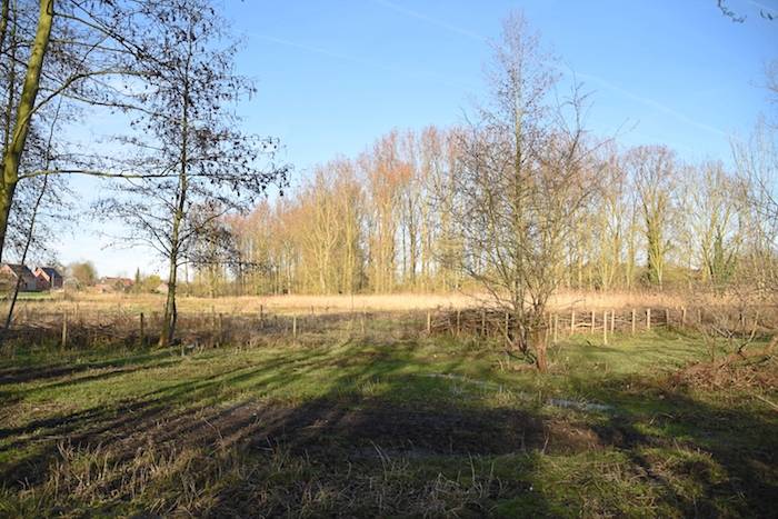 Elsen in vergaderzaal Boost met zicht op natuur