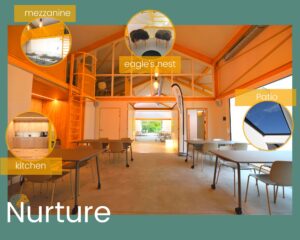 Meeting in green surroundings with meeting room nurture and break-out spaces.