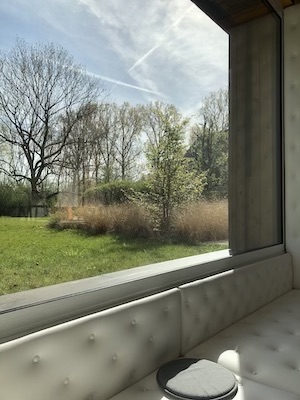 De kracht van verwondering in onze door de natuur geïnspireerde vergaderruimte