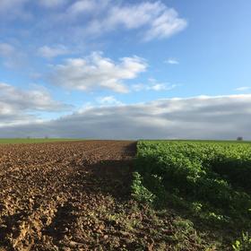 The Magic of a by Nature-Inspired Meeting Space: Wonder