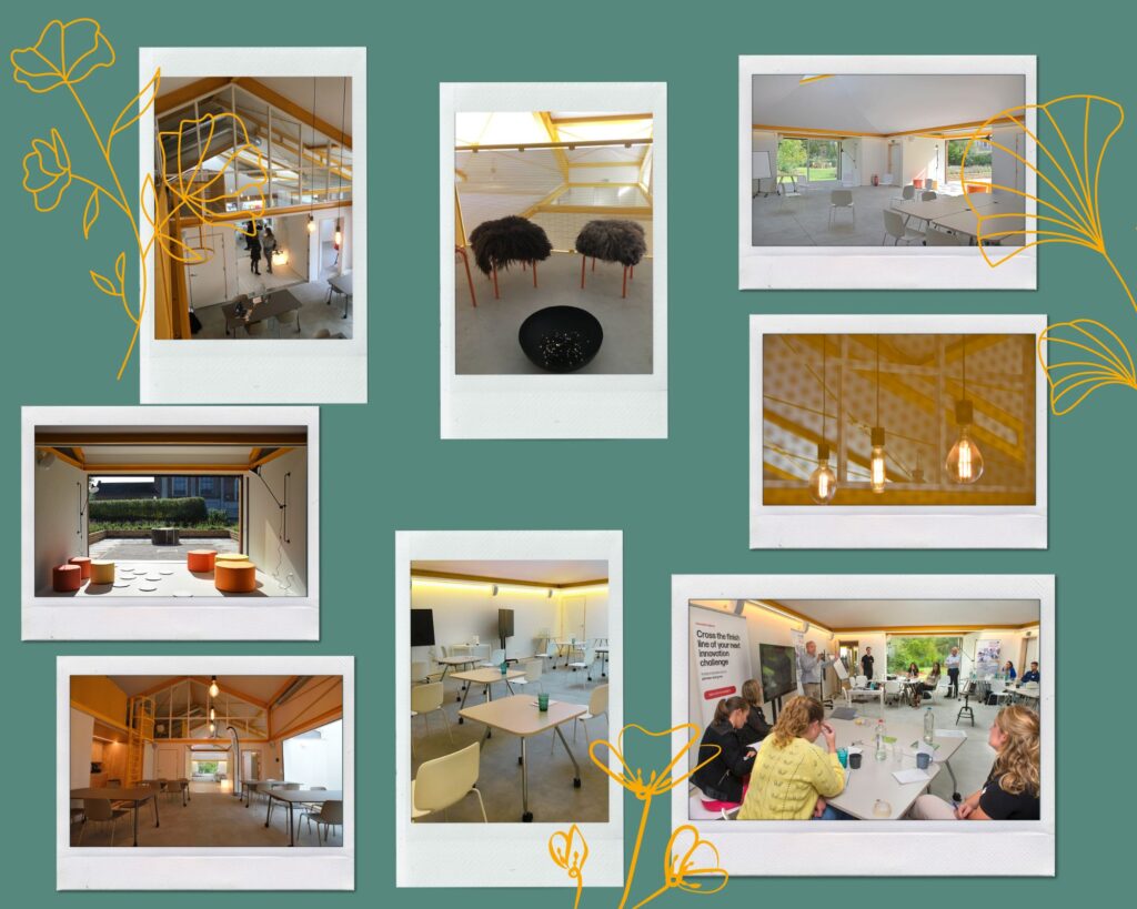 How does Creative Wonderland translates space in its unique meeting room near Leuven