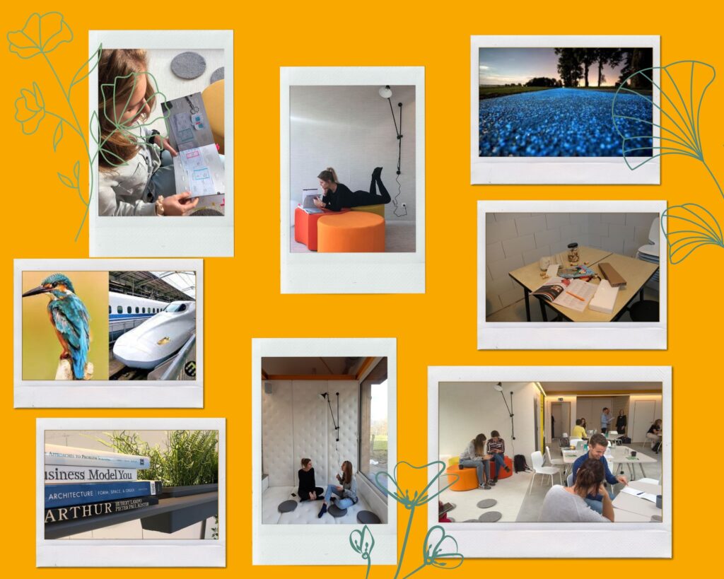How does Creative Wonderland translates inspiration in its unique meeting room near Leuven