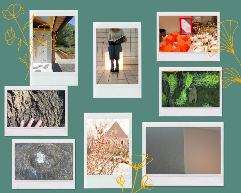 How does Creative Wonderland translates sensory complexity in its unique meeting room near Leuven