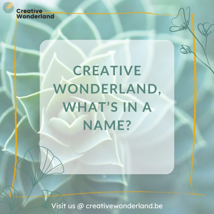 Hoe Creative Wonderland ontstond: van dagdroom tot inspirerende ruimte