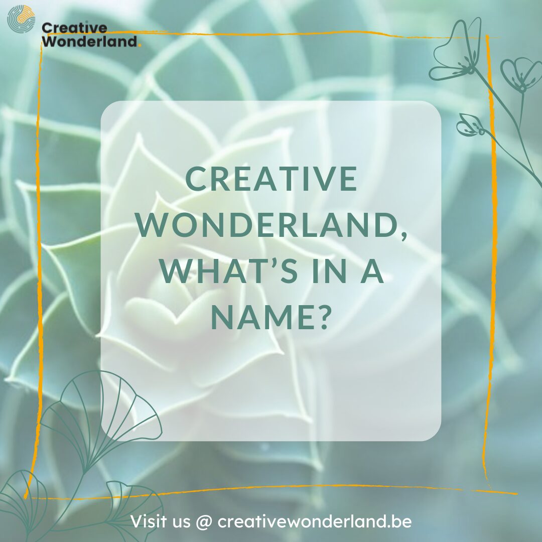 Hoe Creative Wonderland ontstond: van dagdroom tot inspirerende ruimte