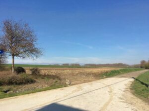 Middagwandeling in Hoegaarden om volop te genieten van het natuurlijk daglicht en de natuur
