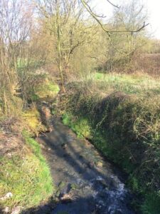 Middagwandeling in Hoegaarden om volop te genieten van het natuurlijk daglicht en de natuur