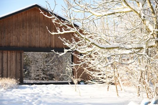 Meetings in nature in the snow