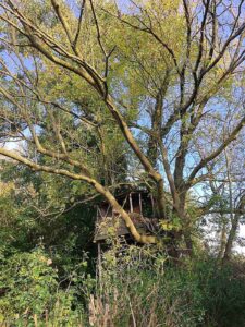 Vergaderen in de natuur in een boomhut!