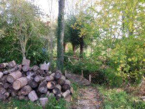 Vergaderen in de natuur: charmant brugje over de beek